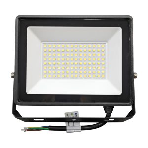 Proyector Interelec 100w Luz Fria 6500k Int100-65k 405009